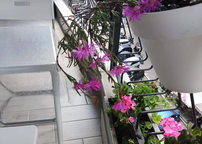 Appartement Roman's House Rome